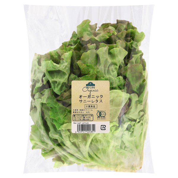 千葉県産 オーガニック サニーレタス