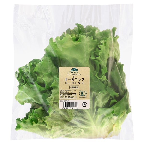 千葉県産 オーガニック リーフレタス