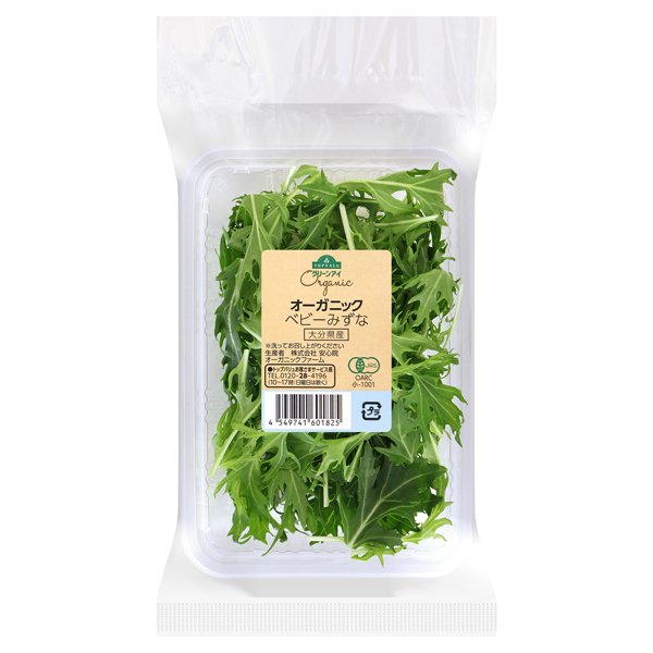 大分県産 オーガニックベビーみずな