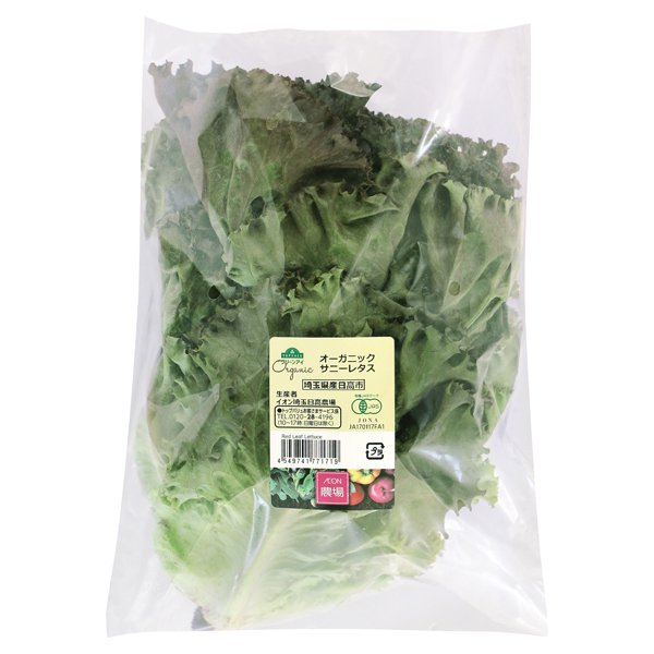 埼玉県産 オーガニック サニーレタス