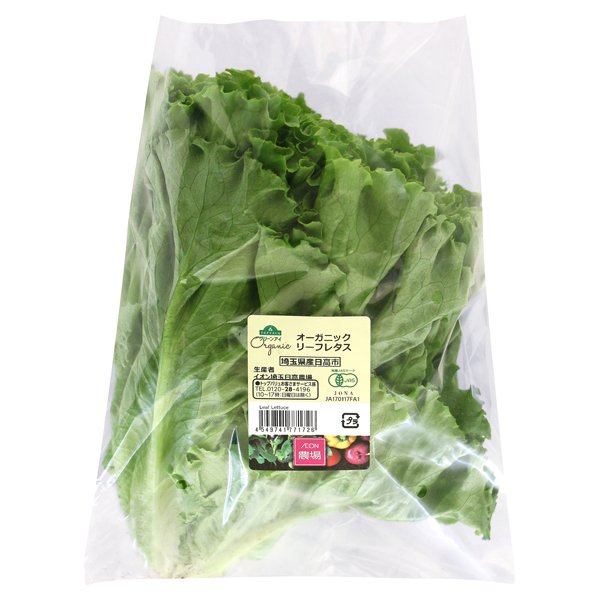埼玉県産 オーガニック リーフレタス