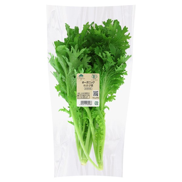 島根県産 オーガニック わさび菜