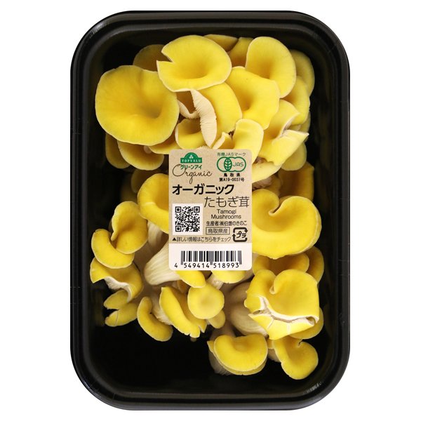 鳥取県産 オーガニックたもぎ茸