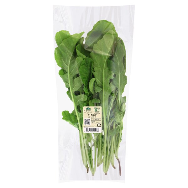 千葉県産 オーガニックルッコラ