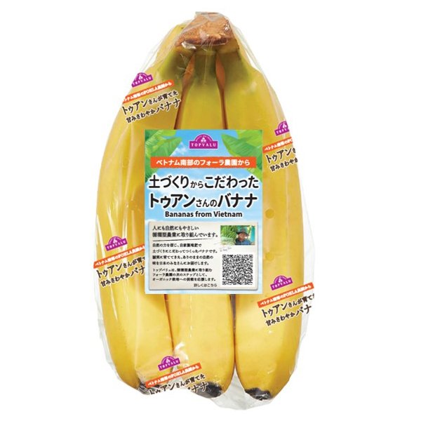 ベトナム産 バナナ (土づくりからこだわったトゥアンさんのバナナ)