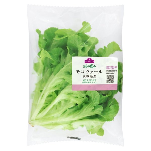 減の恵み モコヴェール